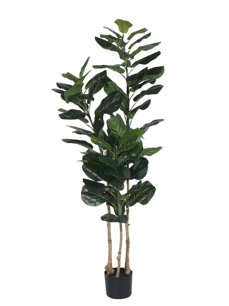 Home Bloom Home Bloom Decoration Artificial Fiddle Leaf Fig Plants for Indoor Outdoor with Pot for Interior DecorHome DecorOffice Dcor 150 cm Tall Multicolor 