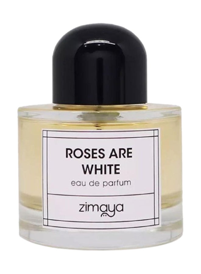Zimaya Roses Are White Eau De Parfum For Men, 100ML - Image 2