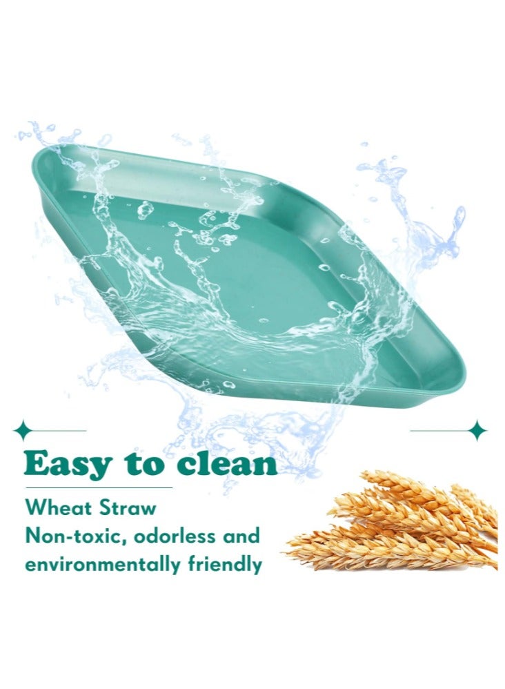 12 قطعة أطباق للقطط، أوعية طعام واسعة، طبق صغير للحيوانات الأليفة للقطط الصغيرة والقطط ذات الأرجل القصيرة، 4 الوان - Image 3