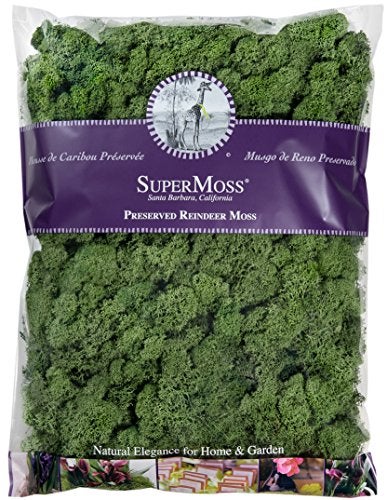 SuperMoss (25154) Reindeer Moss Preserved, Basil, 16 Ounces - Image 1