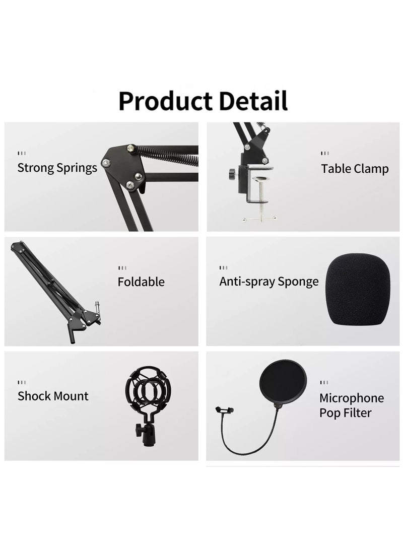 BSNL - BSNL Professional Condenser Microphone Bundle Mic Kit with V8 Audio Sound Card And Metal Stand For Live Streaming Recording Broadcasting - Image 1