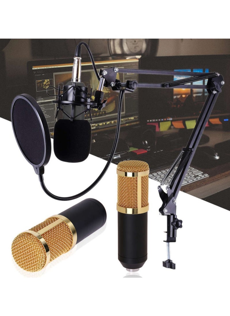 BSNL - BSNL Professional Condenser Microphone Bundle Mic Kit with V8 Audio Sound Card And Metal Stand For Live Streaming Recording Broadcasting - Image 1