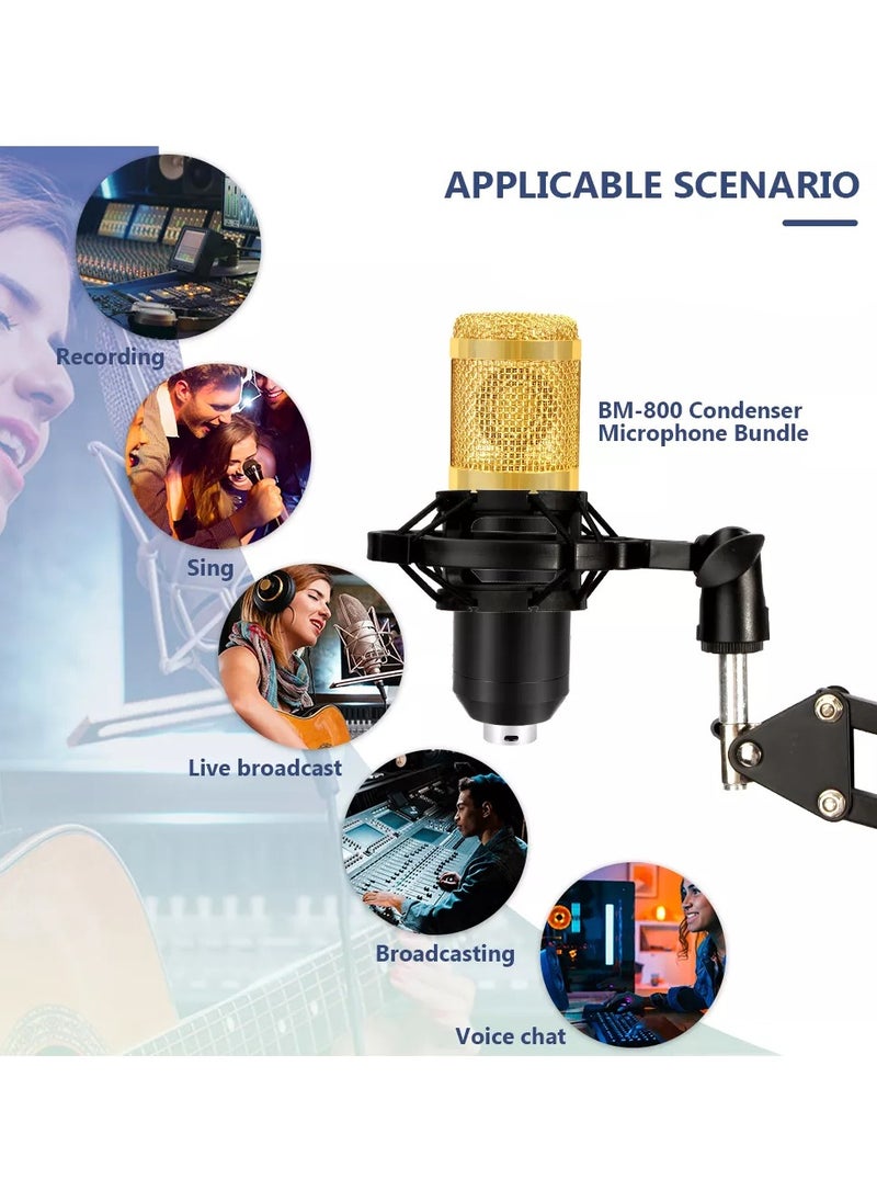 BSNL - BSNL Professional Condenser Microphone Bundle Mic Kit with V8 Audio Sound Card And Metal Stand For Live Streaming Recording Broadcasting - Image 1