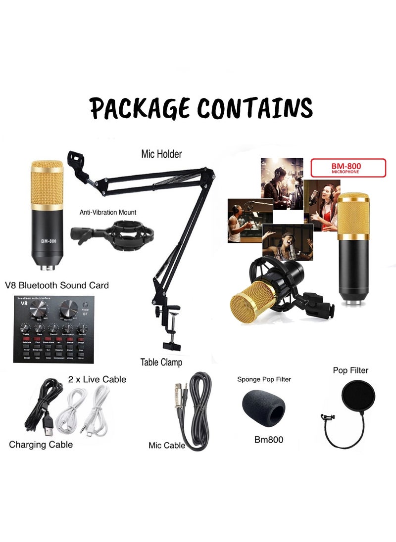 BSNL - BSNL Professional Condenser Microphone Bundle Mic Kit with V8 Audio Sound Card And Metal Stand For Live Streaming Recording Broadcasting - Image 1