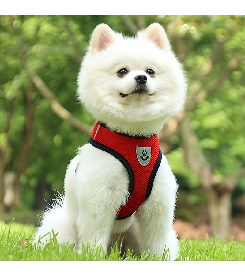 2 Pack Dog Harness Adjustable Chest Leash Collar Red and Black XL Comfortable Walking Vest Outdoor Harness for Small Medium Dogs and Cats Daily Wear Pet Gear - Image 3
