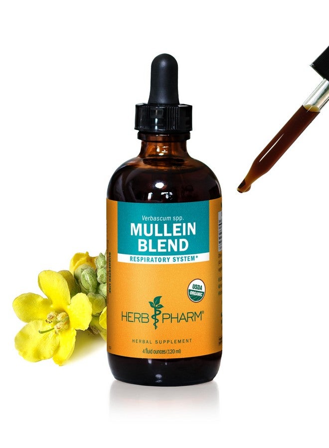 Herb Pharm Certified Organic Mullein Blend Liquid Extract for Respiratory System Support - 4 Ounce - Image 1
