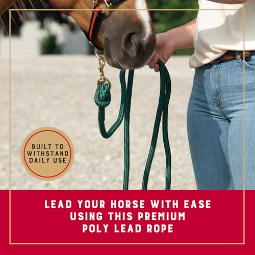 Weaver Equine Performance Lead Rope58 x 10 Horse Cowboy Rope with Brass Plated Snap Soft Comfort Grip Barn Horse Tack for Daily Use Hunter Green - Image 3
