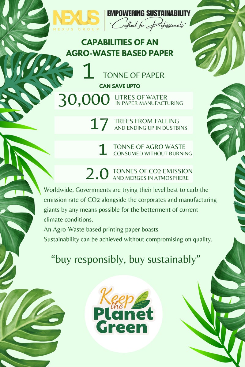 ترايدنت ورق نسخ ترايدنت رويال تاتش الصديق للبيئة، مقاس A4، 80 جرامًا للمتر المربع | عبوة واحدة (5 رزم × 500 ورقة) - منتج زراعي - Image 3