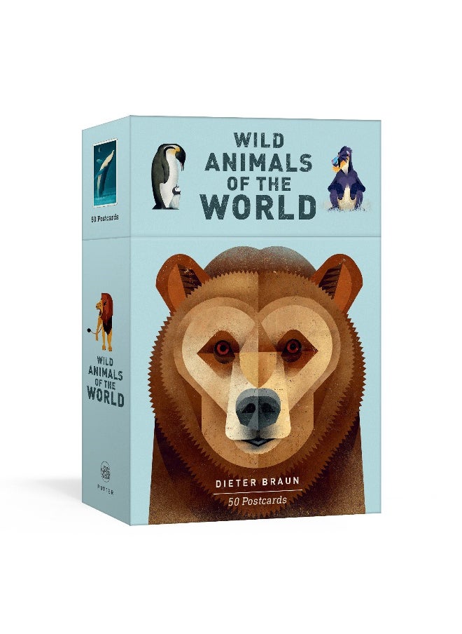 Wild Animals of the World: 50 Postcards