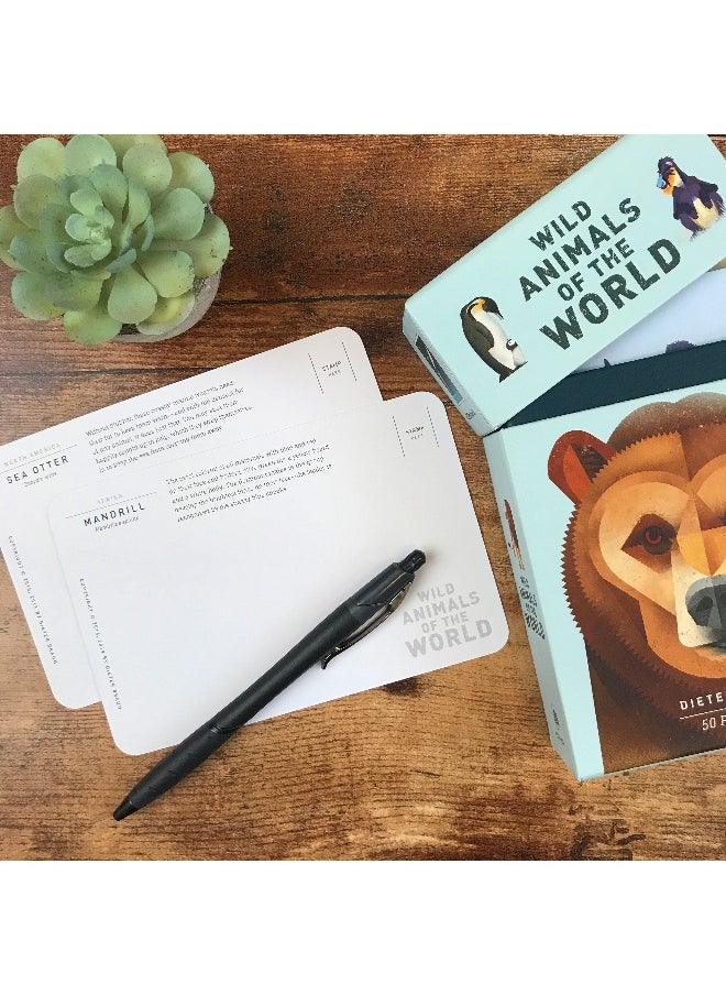 Wild Animals of the World: 50 Postcards