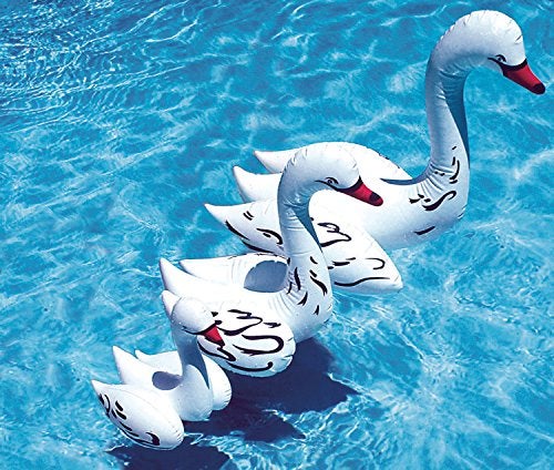 Poolmaster 81411 Floating Swimming Pool Backyard Décor, 3 Pack, Swan Family - Image 3