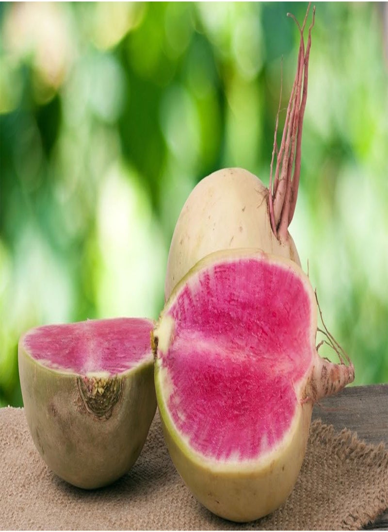 GGOOT Watermelon Radish Organic Seeds, Watermelon Radish Seeds, Home Gardening, High Germination, for Garden and Potting, Non-GMO Heirloom (10)  - Image 1