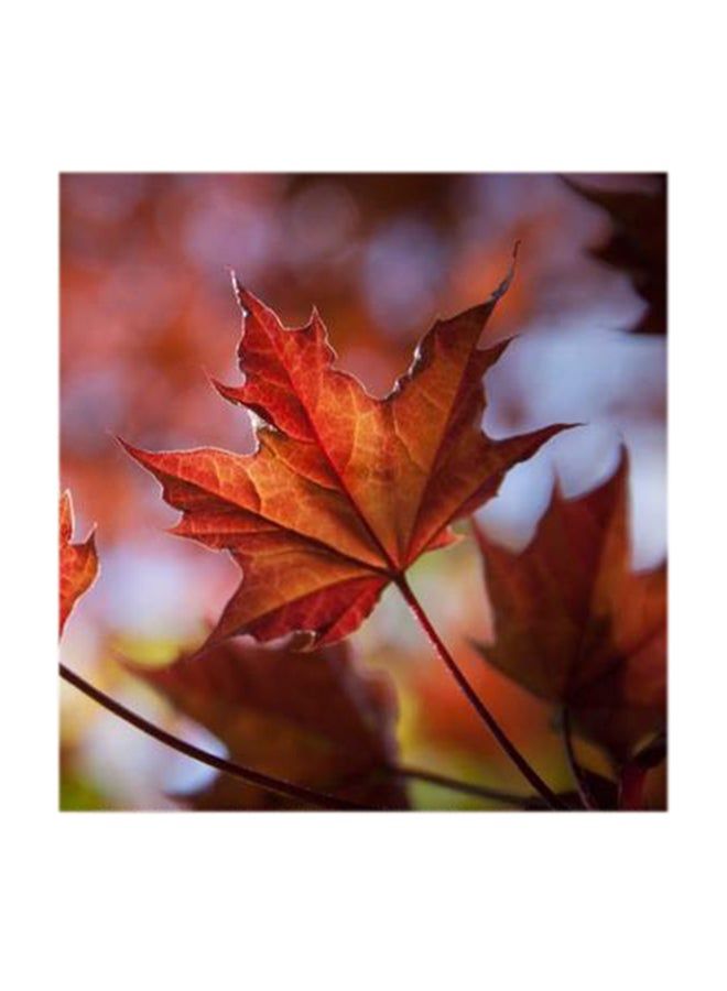RYN Leaf MDF Wall Art Multicolour 30x30centimeter - Image 1