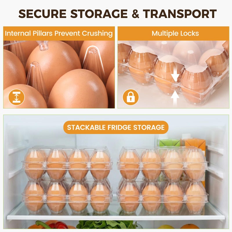 HANSGO 60 PCS 12 Count Plastic Egg Cartons, with 60PCS Date Labels, Bulk Clear Reusable Egg Containers for Fresh Medium Eggs Storage, Suitable for Farms, Families, Markets Display - Image 3