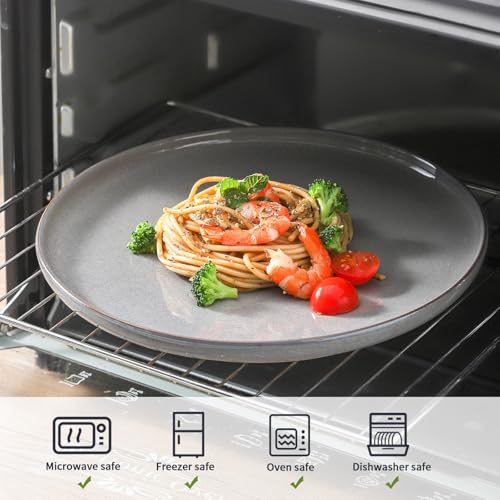 Tikooere Ceramic Dinner Plates Set of 4,Stoneware 10 Inch,Microwave,Dishwasher and Oven Safe,Porcelain Dessert Plates for Pasta,Salad and Steak,Dishes Set for Kitchen,Scratch Resistant,Gray - Image 3