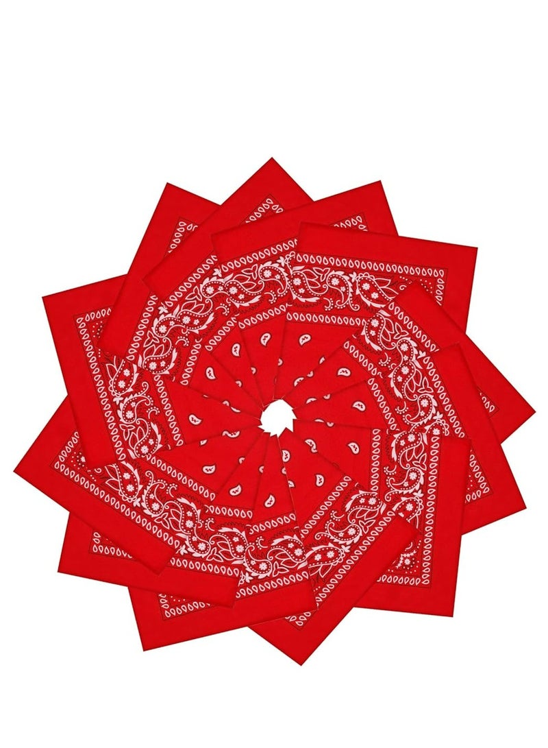 Oasisgalore 12 Pack Unisex Paisley Cowboy Bandanas, Multi-Use Headband/Scarf for Men & Women, Bulk Set - Image 1