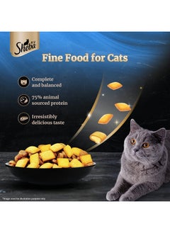 Sheba Kitten And Adult, Irresistible Dry Cat Food, Salmon Flavour, 1.5Kg  - Image 2