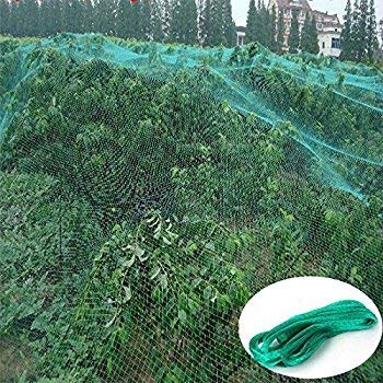 Moira 100 sqft Anti Bird Net Thin Green Plastic Net with 30 pcs Self Locking Clips (10X10) - Image 4