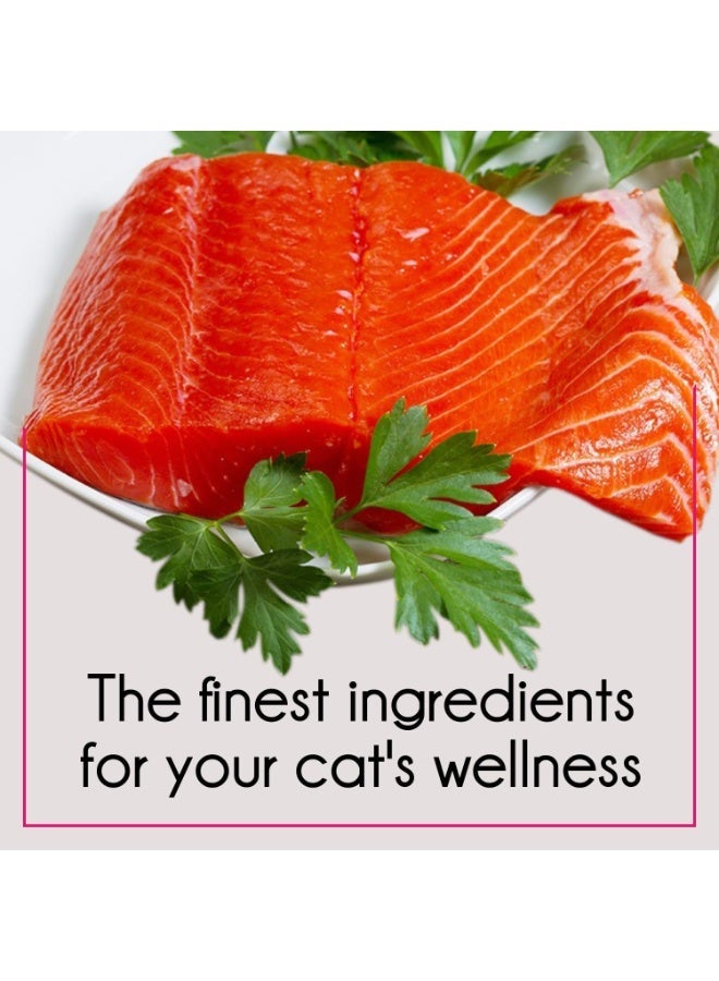 PUREPET Adult Cat Dry Food Tuna & Salmon 7kg – Complete & Balanced Nutrition for Adult Cats - Image 2