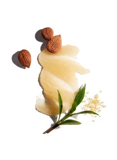 Jack Black Ack Black Exfoliating Scalp Scrub & Shampoo  - Image 3