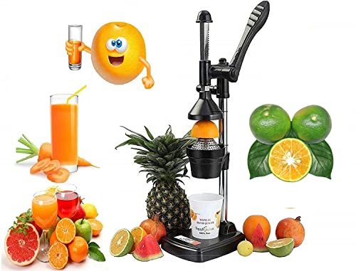 RSPTJM RJ kitchenware Store hand press juicer Manual Fruit Juicer Hand Press Citrus Cold Press making Juice Machine for Home Made uicer and Squeezer for Fruits and Vegetables - Image 1