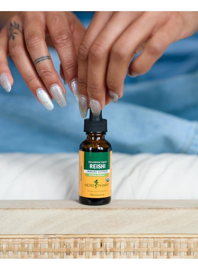 Herb Pharm Reishi Mushroom Extract Immune System Builder - 1 Ounce - Image 3