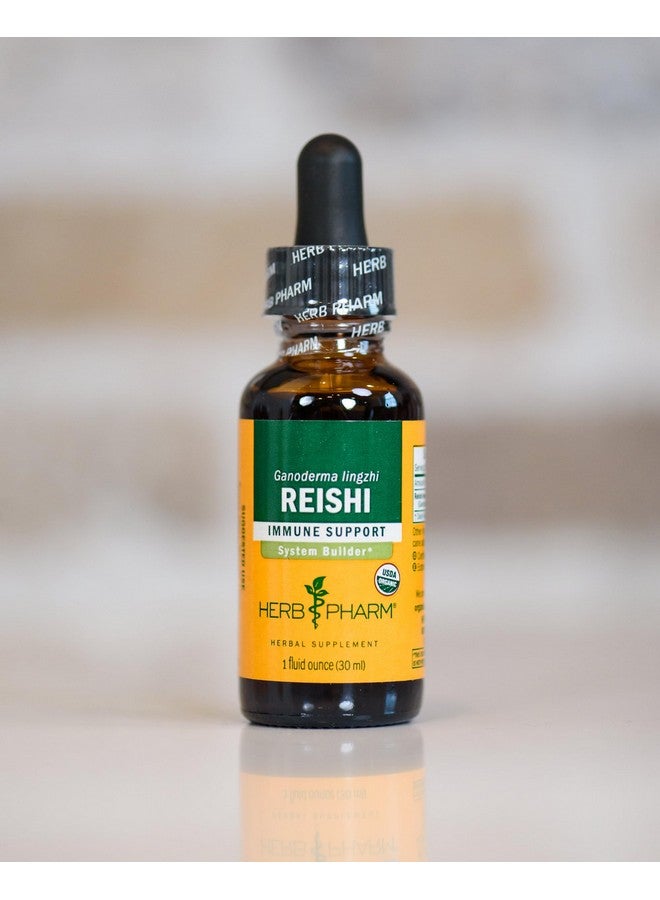 Herb Pharm Reishi Mushroom Extract Immune System Builder - 1 Ounce - Image 5