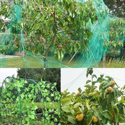 RK Trends Anti Bird Netting | Heavy-Duty Anti-Bird Protection for Garden, Fruit Trees, and Vegetables | Durable Green (10 x 30) - Image 3