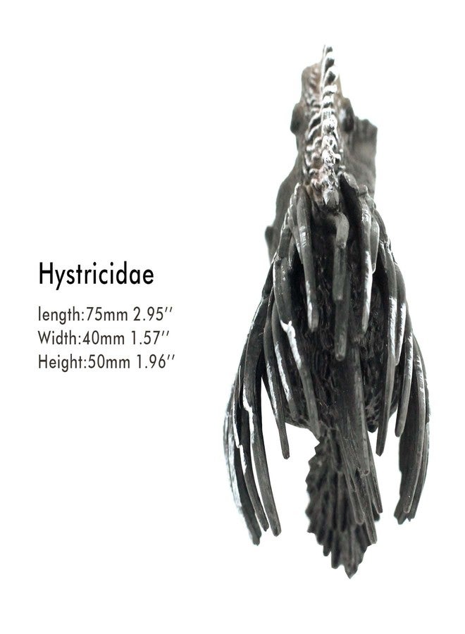 FUNSHOWCASE African Jungle Animals Hystricidae Toy Figure Realistic Plastic Figurine Height 2.4-inch - Image 4