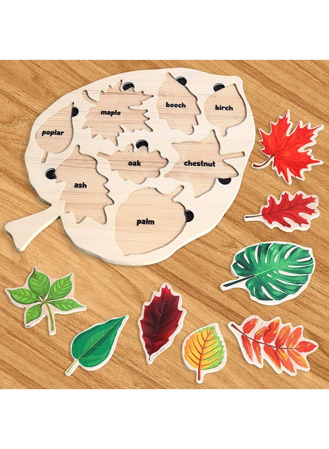WoodenMontessori Puzzles Wooden Montessori Leaf Puzzle Children's Educational Toys-Color:Leaf Puzzle - Image 3