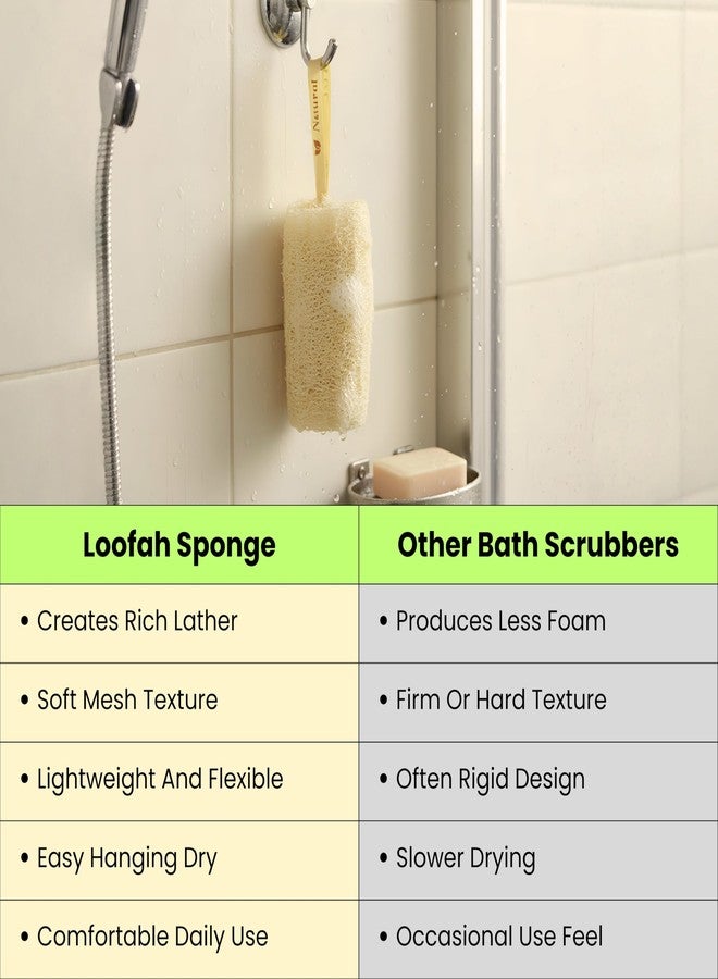 ORRIC Natural Loofah short (4"-5") Scrub Sponge | Natural Body Scrubber for Bathing | Organic Ridge Gourd Fiber Natural sun dried bath Loofah | Peerkangai naaru | Turai Beerakaya Hirekai (Pack of 6) - Image 4