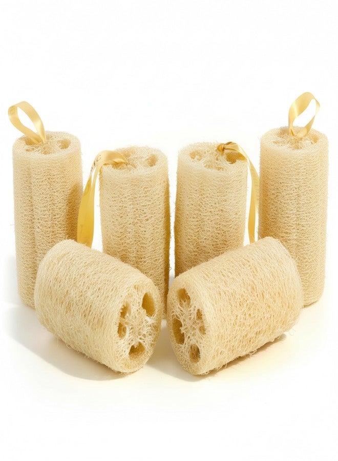 ORRIC Natural Loofah short (4"-5") Scrub Sponge | Natural Body Scrubber for Bathing | Organic Ridge Gourd Fiber Natural sun dried bath Loofah | Peerkangai naaru | Turai Beerakaya Hirekai (Pack of 6) - Image 1