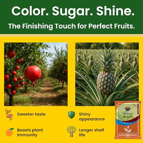 Utkarsh SOP 00 00 50 - Potassium Sulphate for Plants Growth, 100% Water Soluble Powder, Foliar Spray Nutrition | NPK Fertilizers for Home Garden & Crops (250 Gm; Pack of 1) - Image 3