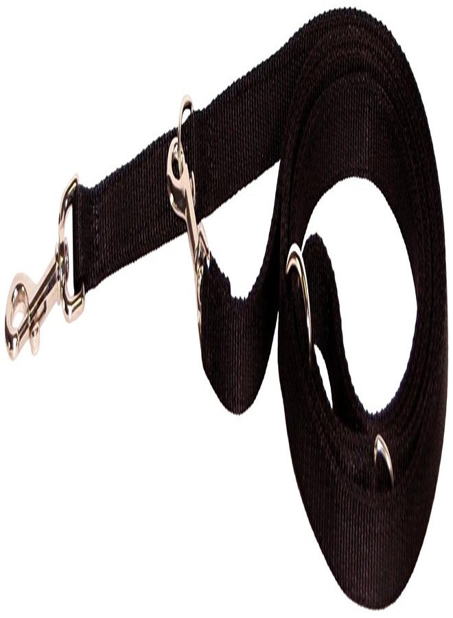 Hamilton Pet & Equine Hamilton Double Thick Nylon European Lead, 3/4-Inch, Black - Image 1