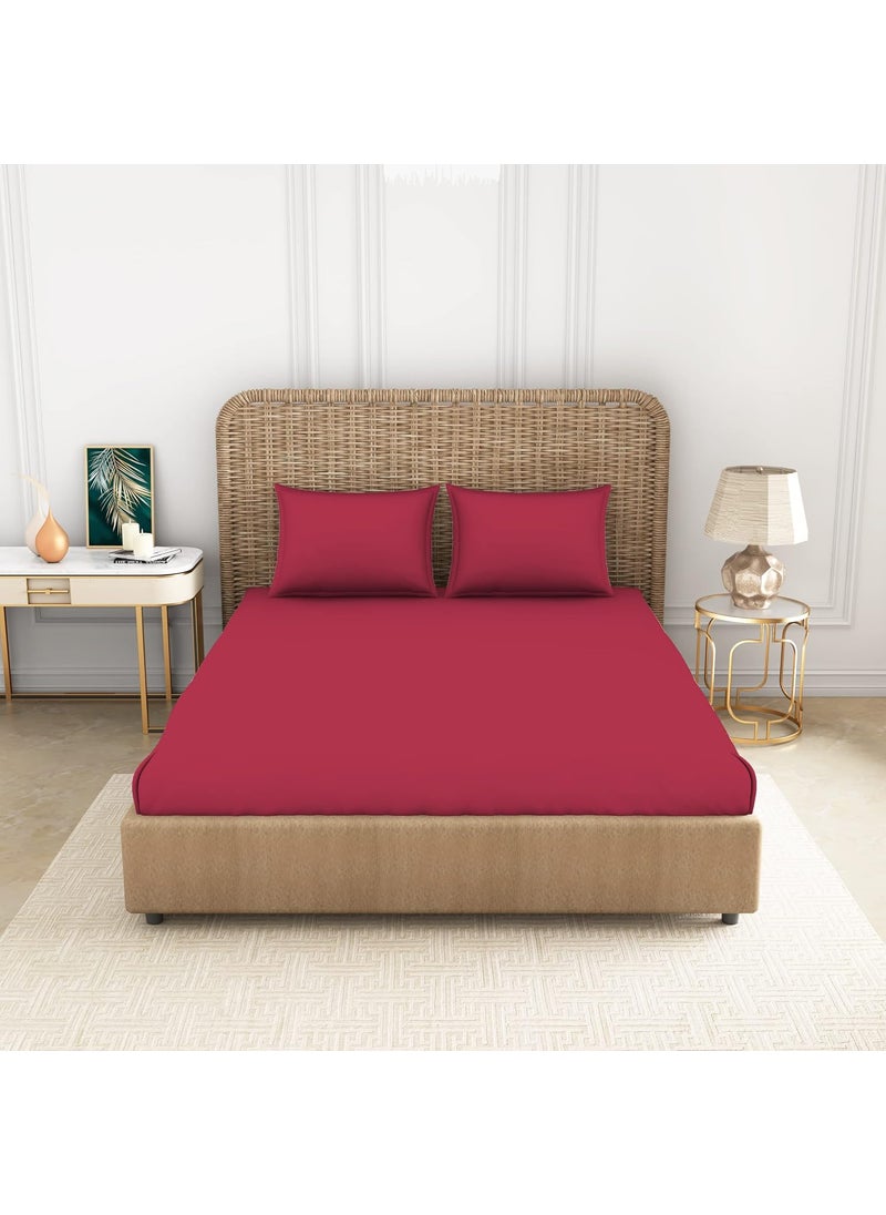 SPACES Spaces 100 Cotton Bedsheet Large Anti Viral Soft Feel Skin Safe 144 Tc Red Bedsheet King Size Bed Cotton  - Image 1