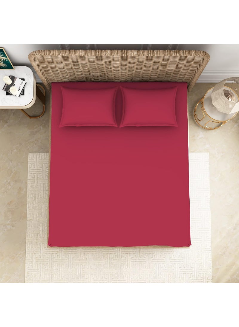 SPACES Spaces 100 Cotton Bedsheet Large Anti Viral Soft Feel Skin Safe 144 Tc Red Bedsheet King Size Bed Cotton  - Image 3