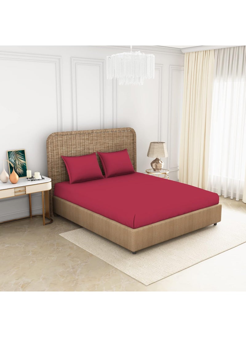 SPACES Spaces 100 Cotton Bedsheet Large Anti Viral Soft Feel Skin Safe 144 Tc Red Bedsheet King Size Bed Cotton  - Image 2