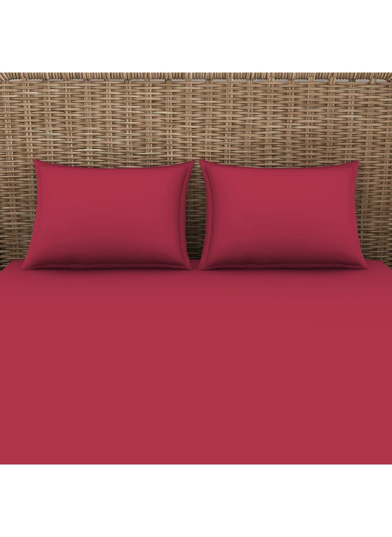 SPACES Spaces 100 Cotton Bedsheet Large Anti Viral Soft Feel Skin Safe 144 Tc Red Bedsheet King Size Bed Cotton  - Image 4