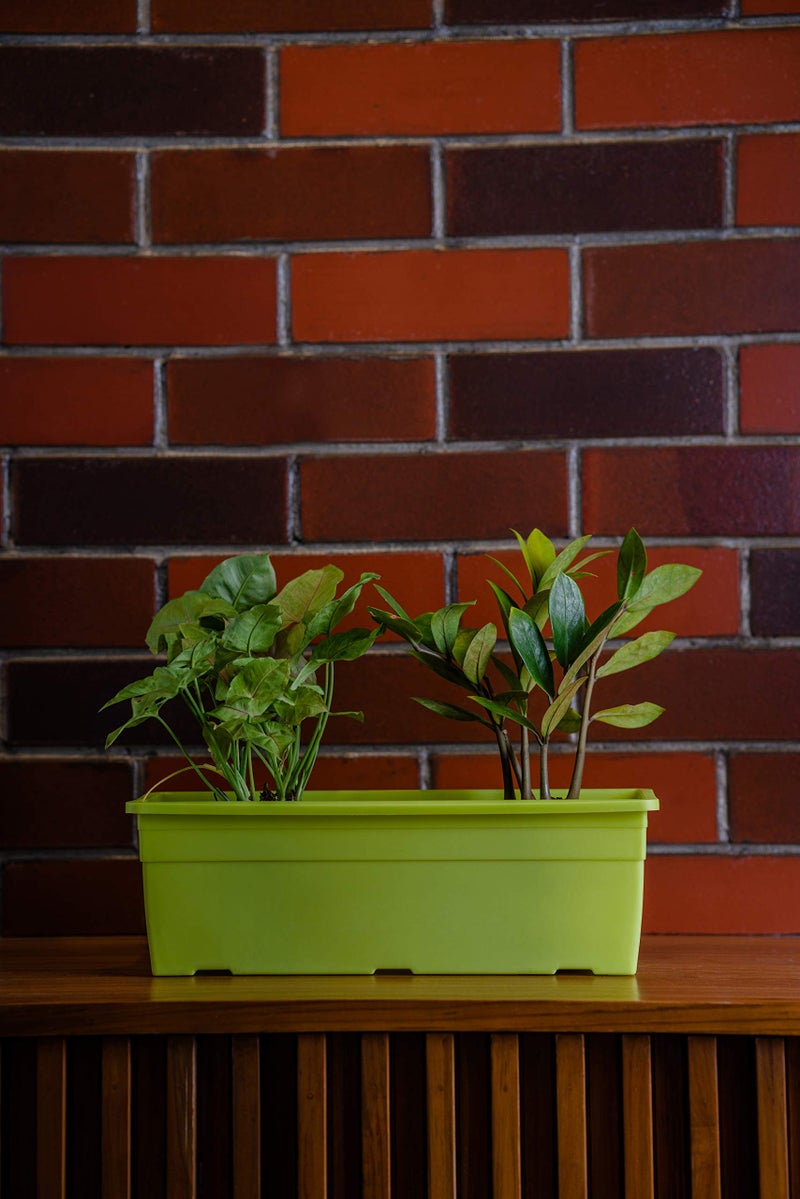 garbnoire Rectangular Plastic Pots for Plants,16 Inch Flower Pots for Home, Window Display, Office, Garden - Set of (1, Green) - Image 1