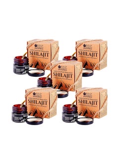 BLISS OF EARTH Bliss of Earth Surya Tapi Himalayan Shilajit Resin Sun Dried Premium Shilajeet 20gm  - Image 1