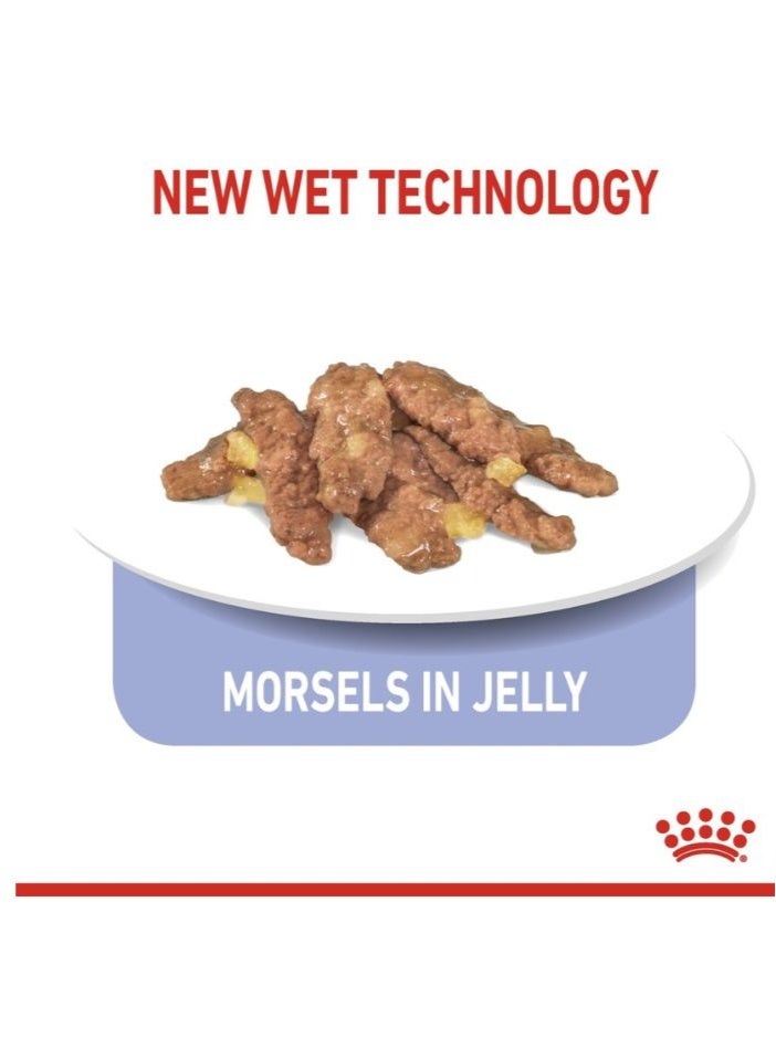 ROYAL CANIN Feline Health Nutrition Indoor 7+ Jelly (WET FOOD - Pouches) 12 x 85g - Image 2