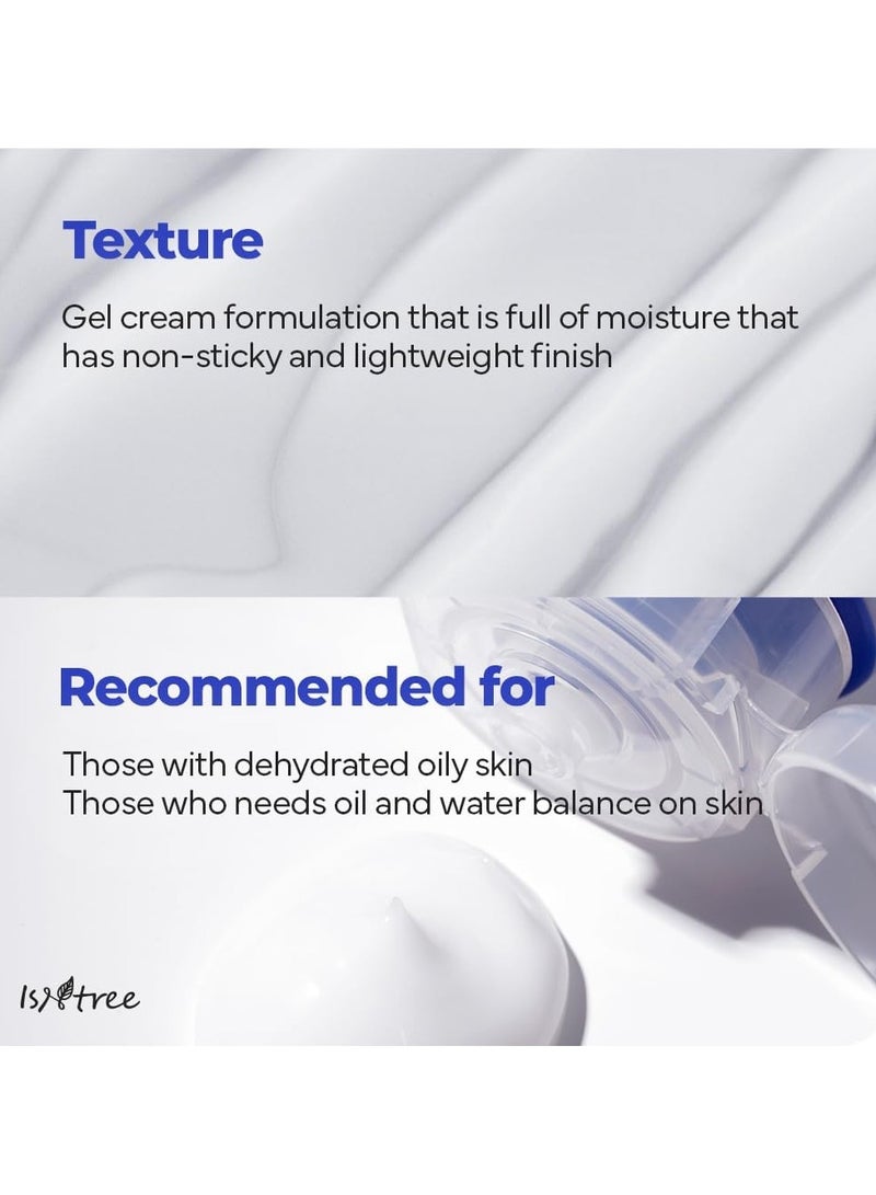 ISNTREE Hyaluronic Acid Aqua Gel Cream 100ml – Lightweight Hydrating Moisturizer for Oily and Combination Skin, Sebum Control, Non-Greasy Formula, Korean Skincare