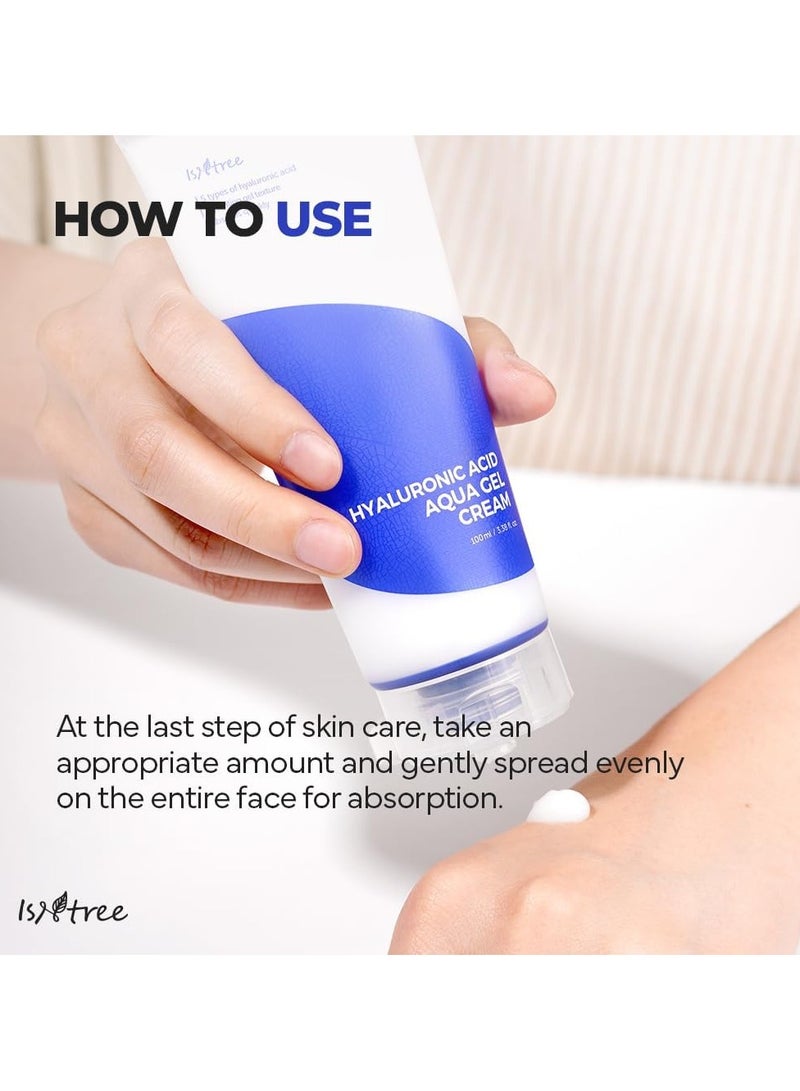 ISNTREE Hyaluronic Acid Aqua Gel Cream 100ml – Lightweight Hydrating Moisturizer for Oily and Combination Skin, Sebum Control, Non-Greasy Formula, Korean Skincare