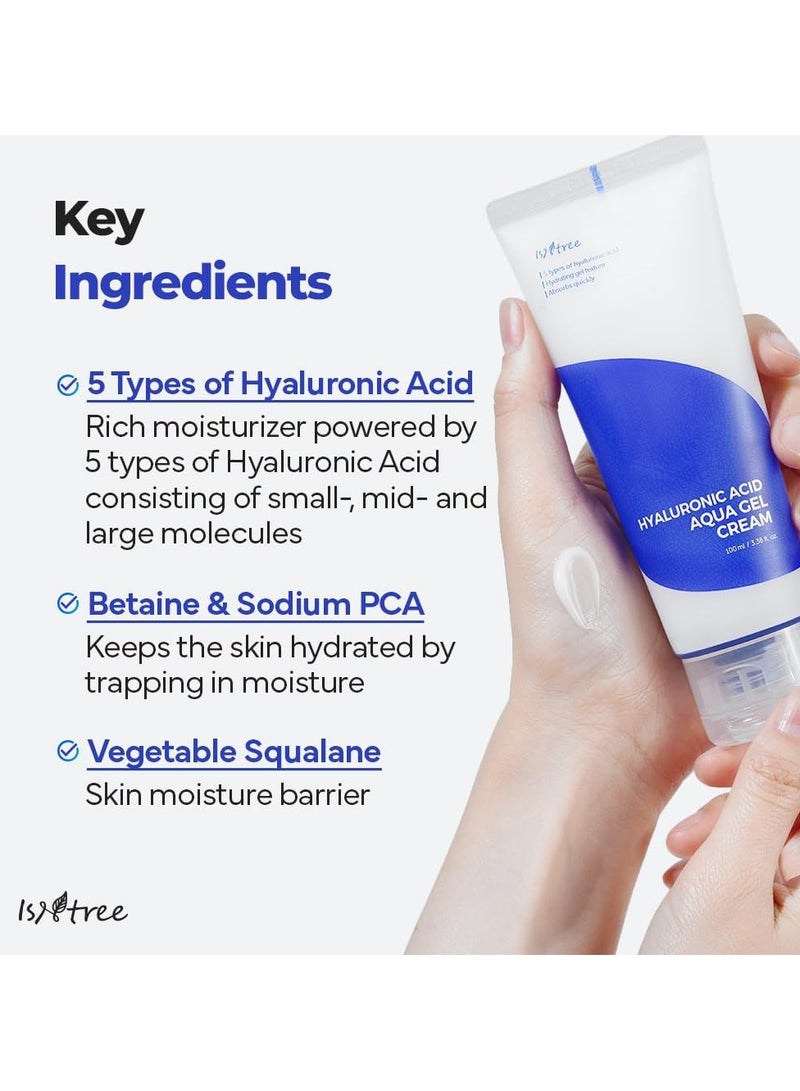 ISNTREE Hyaluronic Acid Aqua Gel Cream 100ml – Lightweight Hydrating Moisturizer for Oily and Combination Skin, Sebum Control, Non-Greasy Formula, Korean Skincare