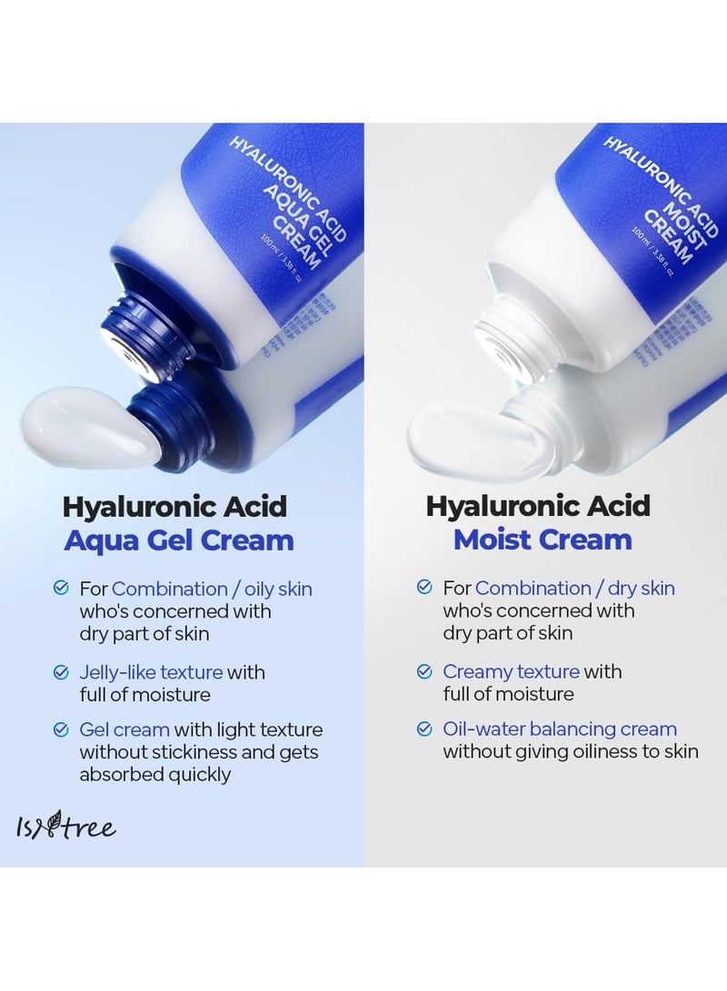 ISNTREE Hyaluronic Acid Aqua Gel Cream 100ml – Lightweight Hydrating Moisturizer for Oily and Combination Skin, Sebum Control, Non-Greasy Formula, Korean Skincare