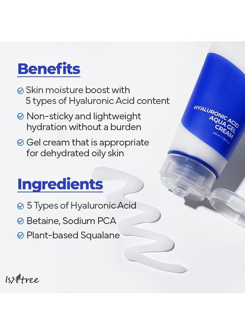 ISNTREE Hyaluronic Acid Aqua Gel Cream 100ml – Lightweight Hydrating Moisturizer for Oily and Combination Skin, Sebum Control, Non-Greasy Formula, Korean Skincare
