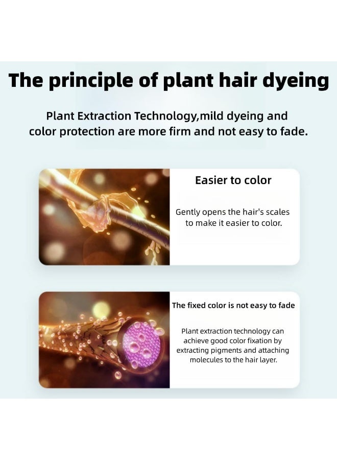 DayWins Fruit Hair Dye Cream, Fruit Dyeing Cream, Hair Color for Gray Hair Coverage, Natural Black Hair Dye Cream, Hair Dye Shampoo for Men and Women - Image 2