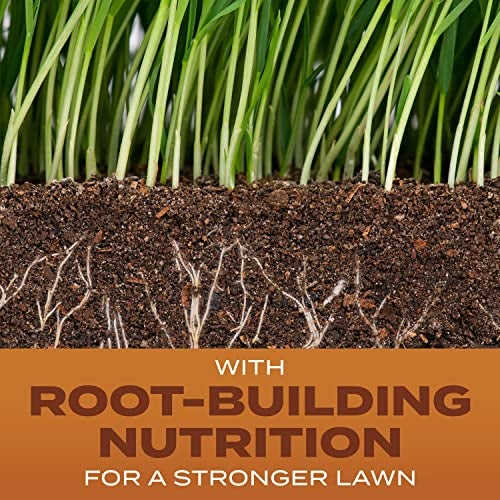 Scotts Turf Builder Grass Seed High Traffic Mix with Fertilizer and Soil Improver, Self-Repairs, 5.6 lbs. - Image 2