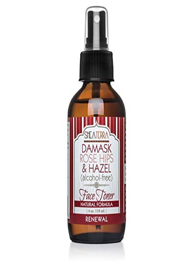 Shea Terra Organics Beauty Water, Toner & Face Mist Damask Rose Hips & Hazel | Natural Daily Hydrating Toner With AntiAging Rose & Witch Hazel To Soothe & Cleanse Inflamed Skin & Fight Acne 4 Oz - Image 1