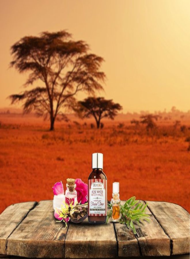 Shea Terra Organics Beauty Water, Toner & Face Mist Damask Rose Hips & Hazel | Natural Daily Hydrating Toner With AntiAging Rose & Witch Hazel To Soothe & Cleanse Inflamed Skin & Fight Acne 4 Oz - Image 3